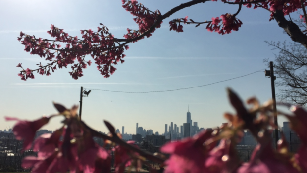 hOMES: Weekly Insight Into Hoboken & Jersey City Real Estate Trends | April 13, 2018