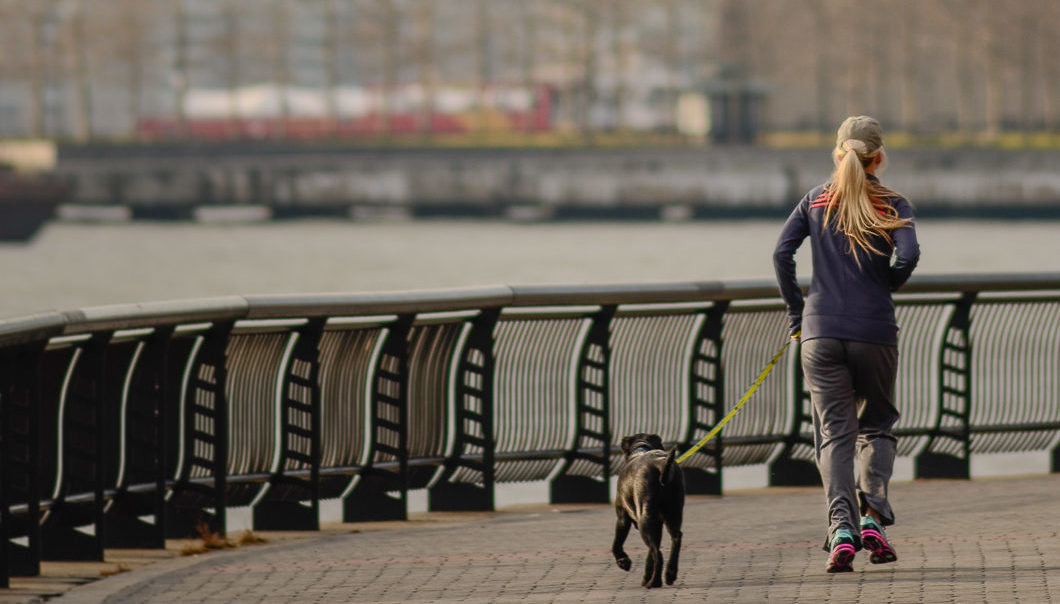 Pets Their People 5k Run Walk Benefit For St Francis Hoboken S