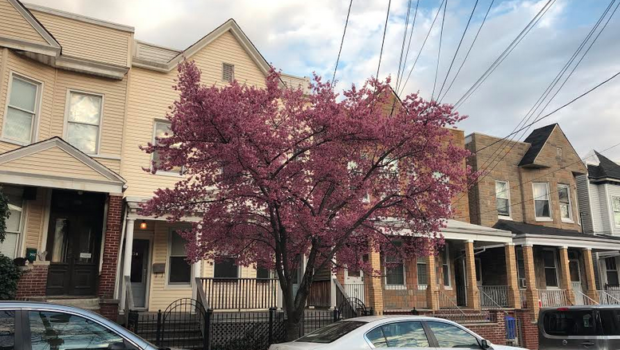 hOMES: Weekly Insight Into Hoboken, Jersey City, & Weehawken Real Estate Trends | March 13, 2020