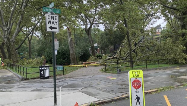 Trees Down, Power Outages Reported in Hoboken and Jersey City as Tropical Storm Isaias Rolls Through